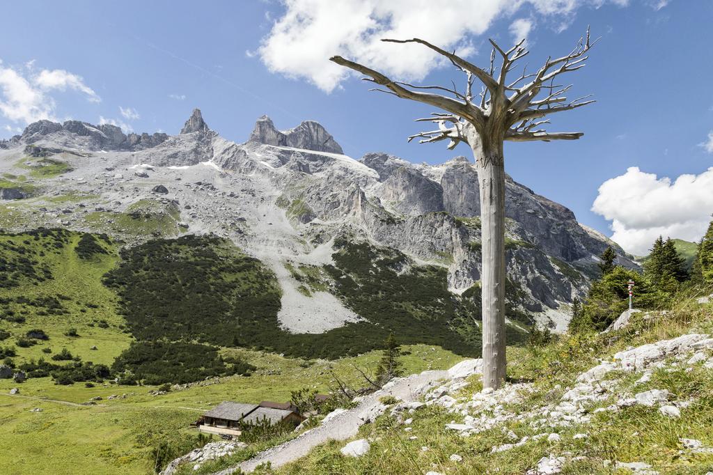 Berg-Spa & Hotel Zamangspitze Sankt Gallenkirch Exteriér fotografie
